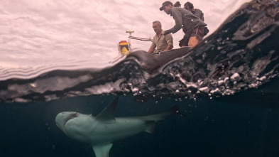 Imagen de Los últimos gigantes (T4): Ep.4 - 1