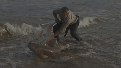 Imagen de Los últimos gigantes (T4): Ep.4 - 5