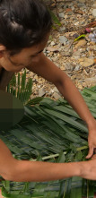 Imagen de Aventura en pelotas (T16): Urbanitas en la naturaleza - 1