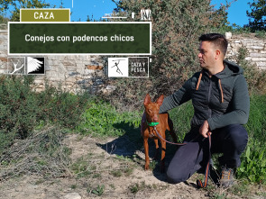 Conejos con podenco chico