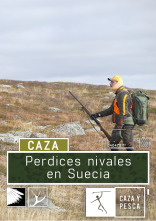 Imagen de Perdices nivales en Suecia - 1