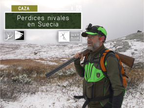 Imagen de Perdices nivales en Suecia - 2