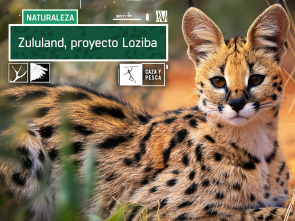 Imagen de Zulú Land Proyecto Loziba - 2