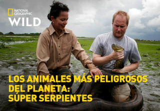 Imagen de Los animales más peligrosos del planeta: súper serpientes - 2