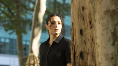 Imagen de Ley y Orden:... (T26): Ep.6  - 1
