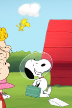 Snoopy en el... (T1): Misión 1: La solicitud