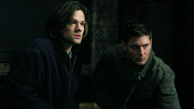 Supernatural (T8): Ep.15 Man's Best Friend With Benefits