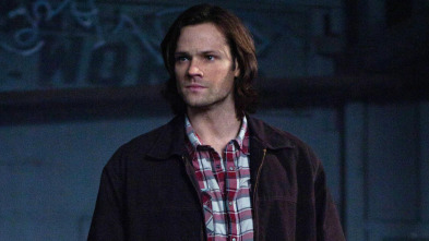 Supernatural (T8): Ep.17 Goodbye Stranger