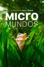 Micromundos 