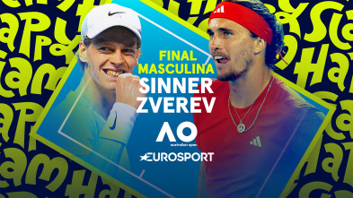 Imagen de Masculino: Sinner - Zverev - 2