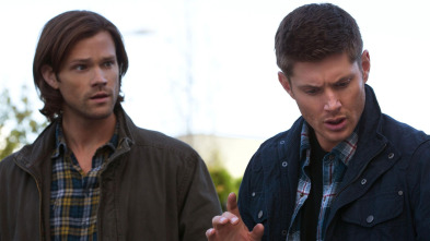 Supernatural (T9): Ep.5 Dog Dean Afternoon