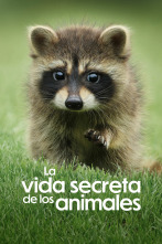 La vida secreta de los animales 