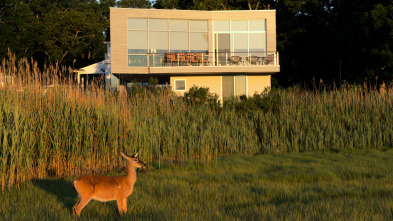 Imagen de Casas vanguardistas: Long Island: Sag Harbor - 2