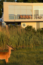 Imagen de Casas vanguardistas: Long Island: Sag Harbor - 1
