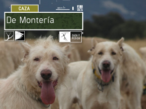 Imagen de De montería (T2) - 2