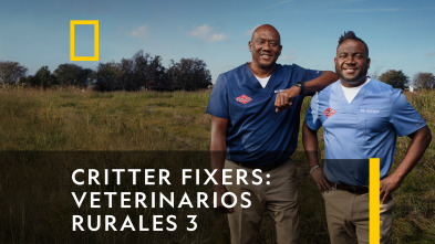 Critter fixers:...: Pez fuera del agua