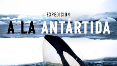 Expedición a la Antártida