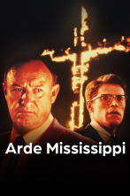 Imagen de Arde Mississippi - 1