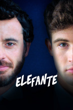 Imagen de Elefante - 1