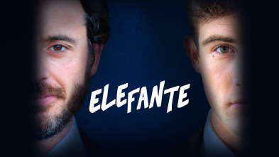 Imagen de Elefante - 2