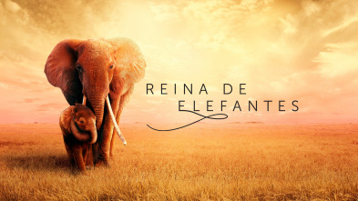 Reina de elefantes