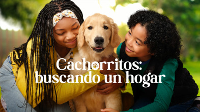 Cachorritos: buscando un hogar (T1)