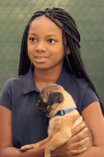 Cachorritos:... (T1): Pugsley