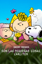 Snoopy presenta: Son las pequeñas cosas, Carlitos