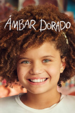 Imagen de Ámbar Dorado (T1) - 1