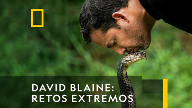 Imagen de David Blaine: Retos Extremos  - 2