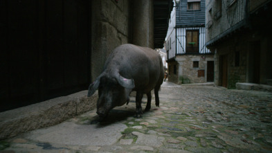 Ingredientes para la vida: Cerdo