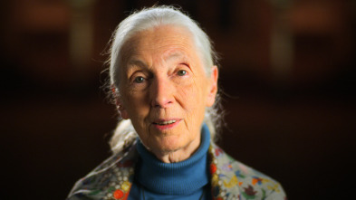 Carta a…: Jane Goodall