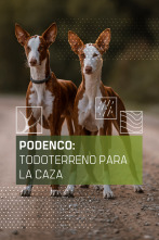 Podenco: todoterreno para la caza