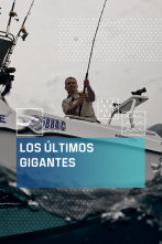 Imagen de Los últimos gigantes (T4) - 2