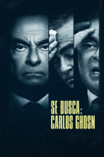 Imagen de Se busca: Carlos Ghosn (T1) - 1