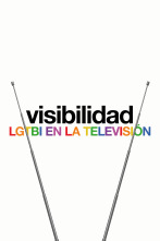 Visibilidad: LGTBI en la televisión 