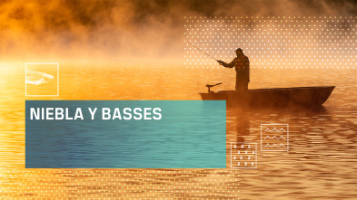 Imagen de Niebla y basses - 2