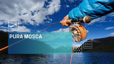 Imagen de Pura mosca (T5) - 2