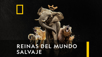 Imagen de Reinas del mundo salvaje  - 2
