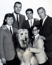 Imagen de Historia de las sitcoms  - 3