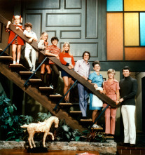 Imagen de Historia de las sitcoms  - 6