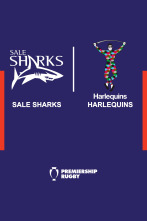 T. Regular: Saracens - Harlequins