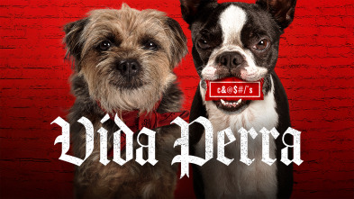Imagen de Vida perra - 4