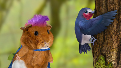 Imagen de Wonder Pets en la... (T1): ¡Salvan al pájaro carpintero! / ¡Salvan al salmón! - 2