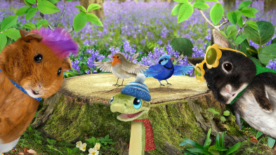 Imagen de Wonder Pets en la... (T1): Salvan ¿a Tate? / ¡Salvan a los pájaros cantores! - 2