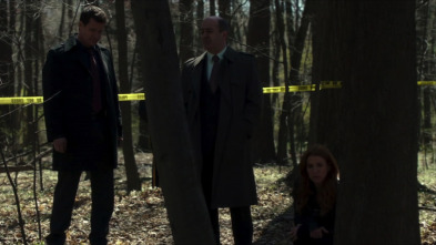 Imagen de Imborrable (T1): Ep.22 El hombre de los bosques - 4