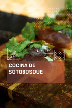 Imagen de Cocina de Sotobosque (T2) - 1