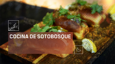 Imagen de Cocina de Sotobosque (T2) - 2