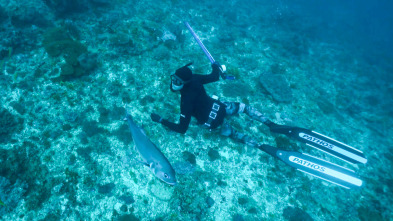 Imagen de Apnea con David... (T1): Zanzibar, Fiji y Madagascar - 2