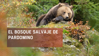 Imagen de El bosque salvaje de Pardomino  - 2